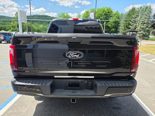 Agate Black Metallic 2025 Ford F-150 STX