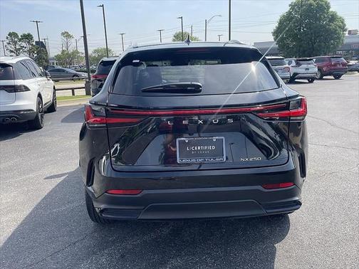 2025 Lexus NX 250 Premium
