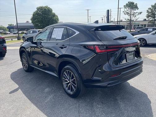 2025 Lexus NX 250 Premium