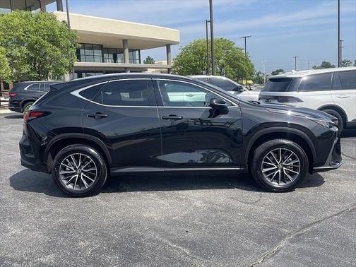 2025 Lexus NX 250 Premium