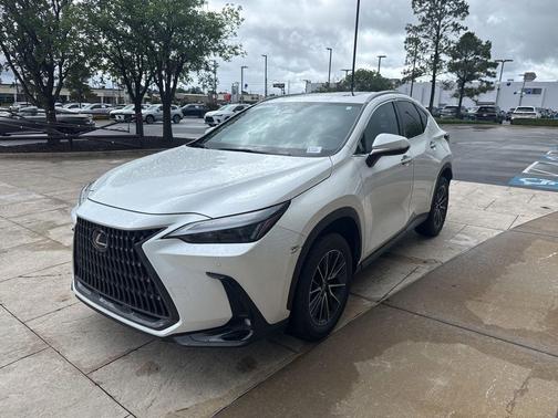 Pear 2025 Lexus NX 250 Premium
