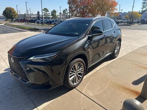 2025 Lexus NX 350 Premium
