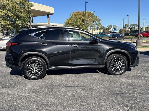 2025 Lexus NX 250 Premium