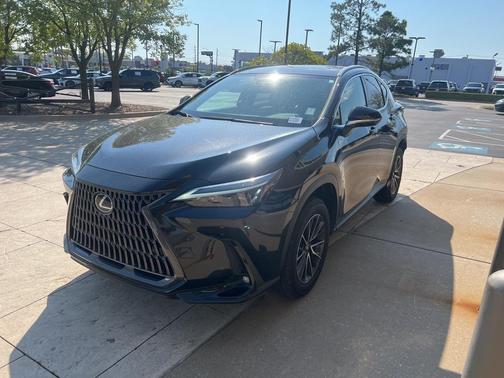 2025 Lexus NX 250 Premium