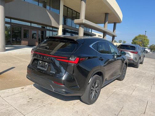 2025 Lexus NX 250 Premium