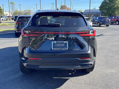 2025 Lexus NX 250 Premium