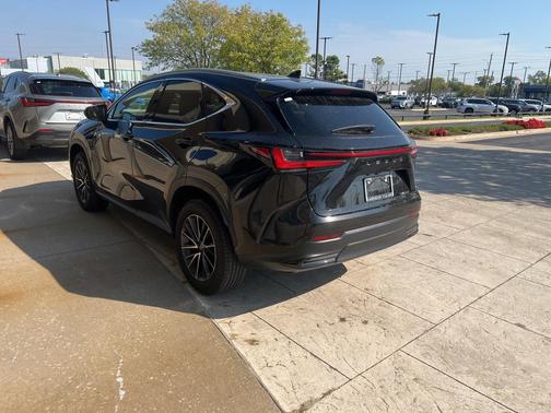 2025 Lexus NX 250 Premium