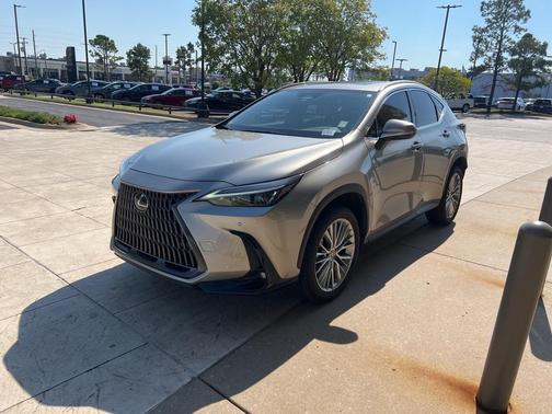 2025 Lexus NX 350 Premium