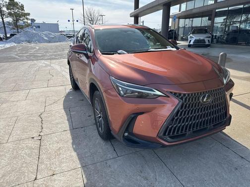 2025 Lexus NX 250 Premium