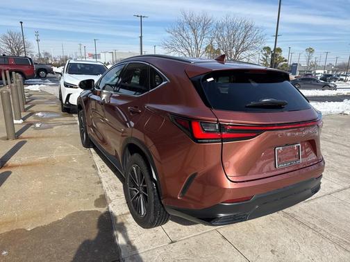 2025 Lexus NX 250 Premium