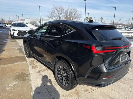 2025 Lexus NX 250 Premium