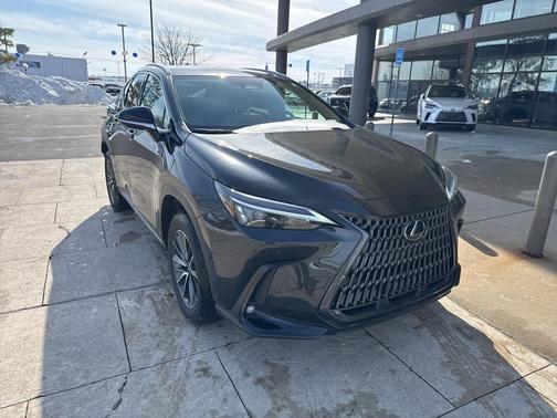 2025 Lexus NX 250 Premium