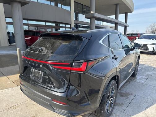 2025 Lexus NX 250 Premium