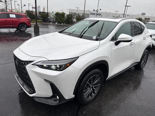 2024 Lexus NX 250 Premium