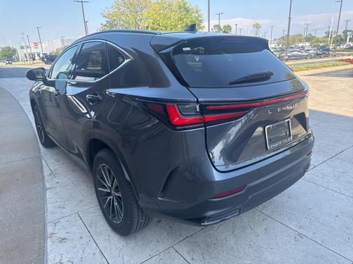 2025 Lexus NX 250 Premium