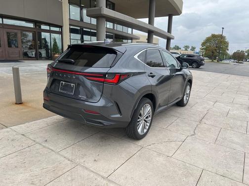 2025 Lexus NX 350 Premium