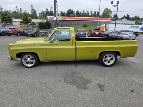 1979 Chevrolet C10/K10 Base