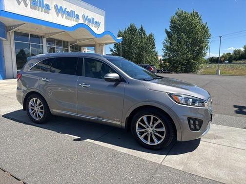 Gray 2017 Kia Sorento SX