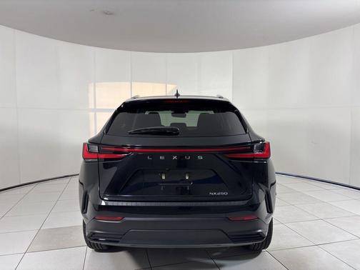 2022 Lexus NX 250 Premium