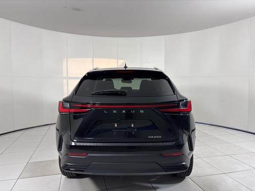 2022 Lexus NX 250 Premium