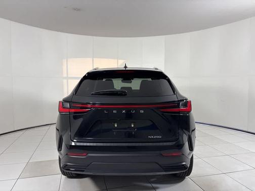 2022 Lexus NX 250 Premium