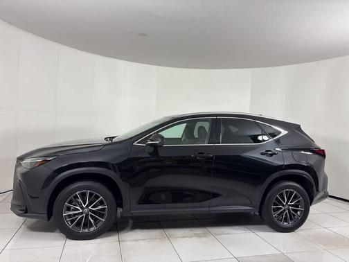 Obsidian Black 2024 Lexus NX 250 Premium