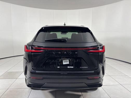 2024 Lexus NX 250 Premium