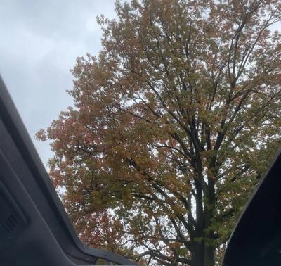 2019 Volkswagen Jetta 1.4T R-Line