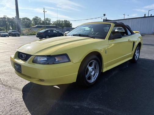 Zinc Yellow Clearcoat 2003 Ford Mustang Deluxe