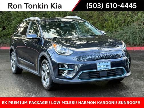 2019 Kia Niro EV EX Premium