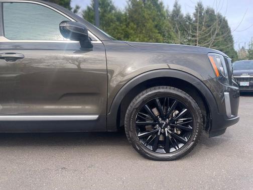 Dark Moss 2022 Kia Telluride SX
