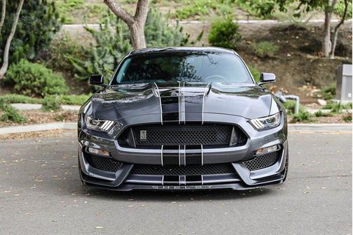Magnetic 2017 Ford Shelby GT350 Base