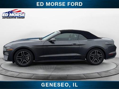 Magnetic 2020 Ford Mustang EcoBoost Premium