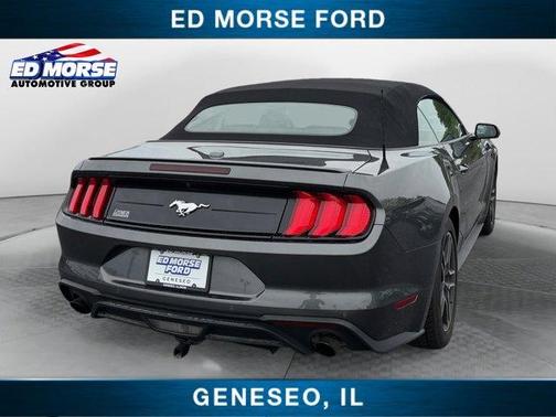 Magnetic 2020 Ford Mustang EcoBoost Premium
