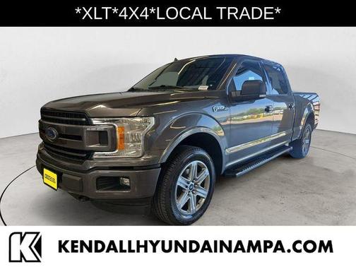 Magnetic Metallic 2018 Ford F-150 XLT