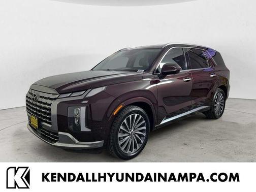 Burgundy 2025 Hyundai PALISADE Calligraphy