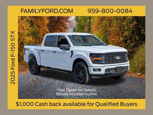 2025 Ford F-150 STX