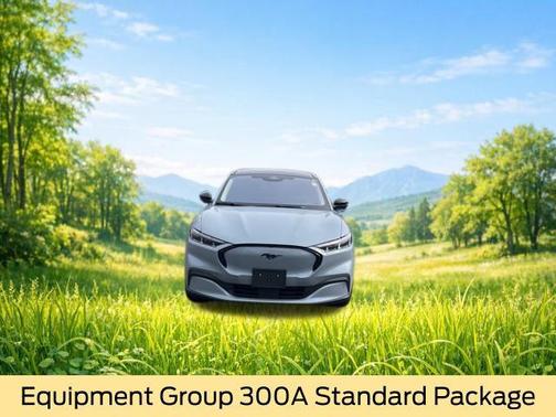 GLACIER GRAY MET TRI-COAT 2026 Ford Mustang Mach-E Premium