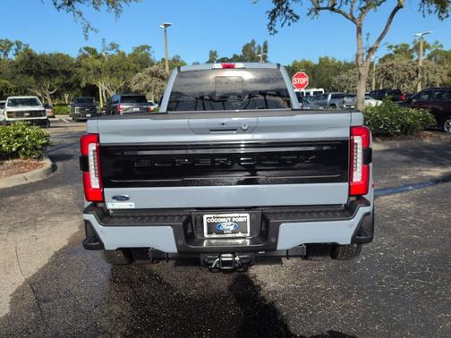 Glacier Gray Metallic Tri-Coat 2026 Ford F-450 Platinum