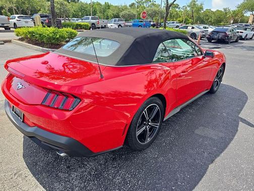 RACE RED 2025 Ford Mustang EcoBoost