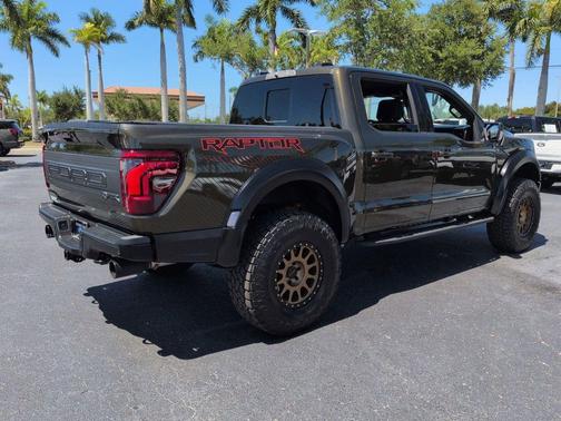 SHELTER GREEN 2025 Ford F-150 Raptor