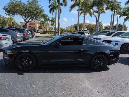 SHADOW BLACK 2021 Ford Mustang EcoBoost