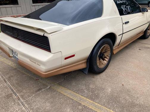 1984 Pontiac Firebird Trans Am 2dr Hatchback