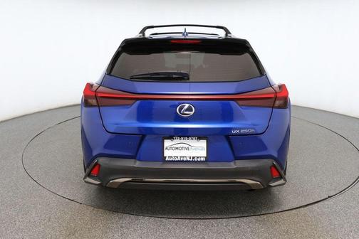 2022 Lexus UX 250h F Sport