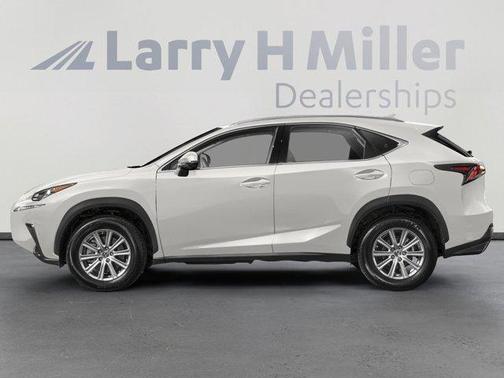 2019 Lexus NX 300 LUXU