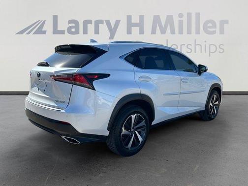 2019 Lexus NX 300 LUXU