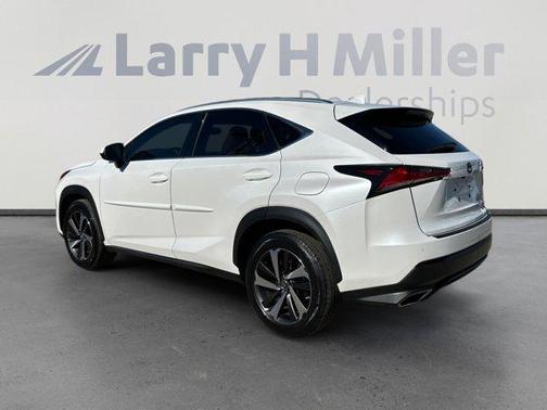 2019 Lexus NX 300 LUXU