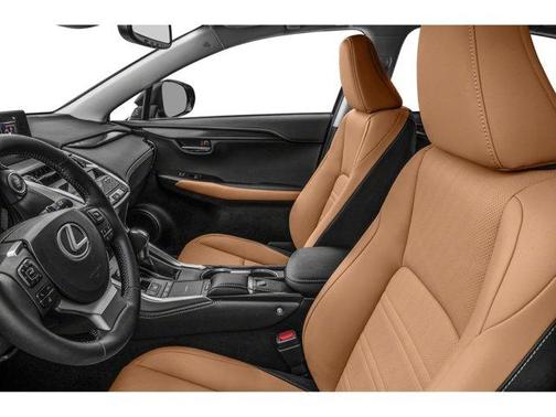 2019 Lexus NX 300 LUXU