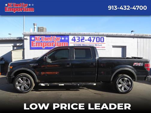 2013 Ford F-150 Platinum