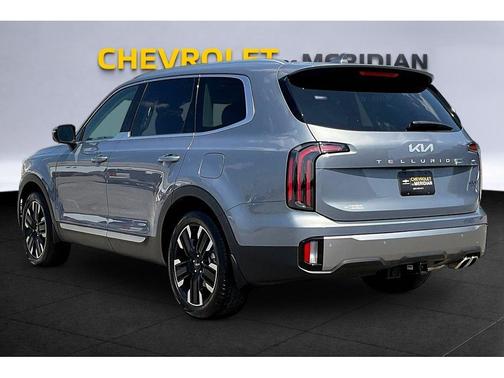 Everlasting Silver 2025 Kia Telluride SX